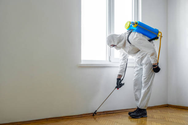 Best Mosquito Control Services  in Coalfield, TN